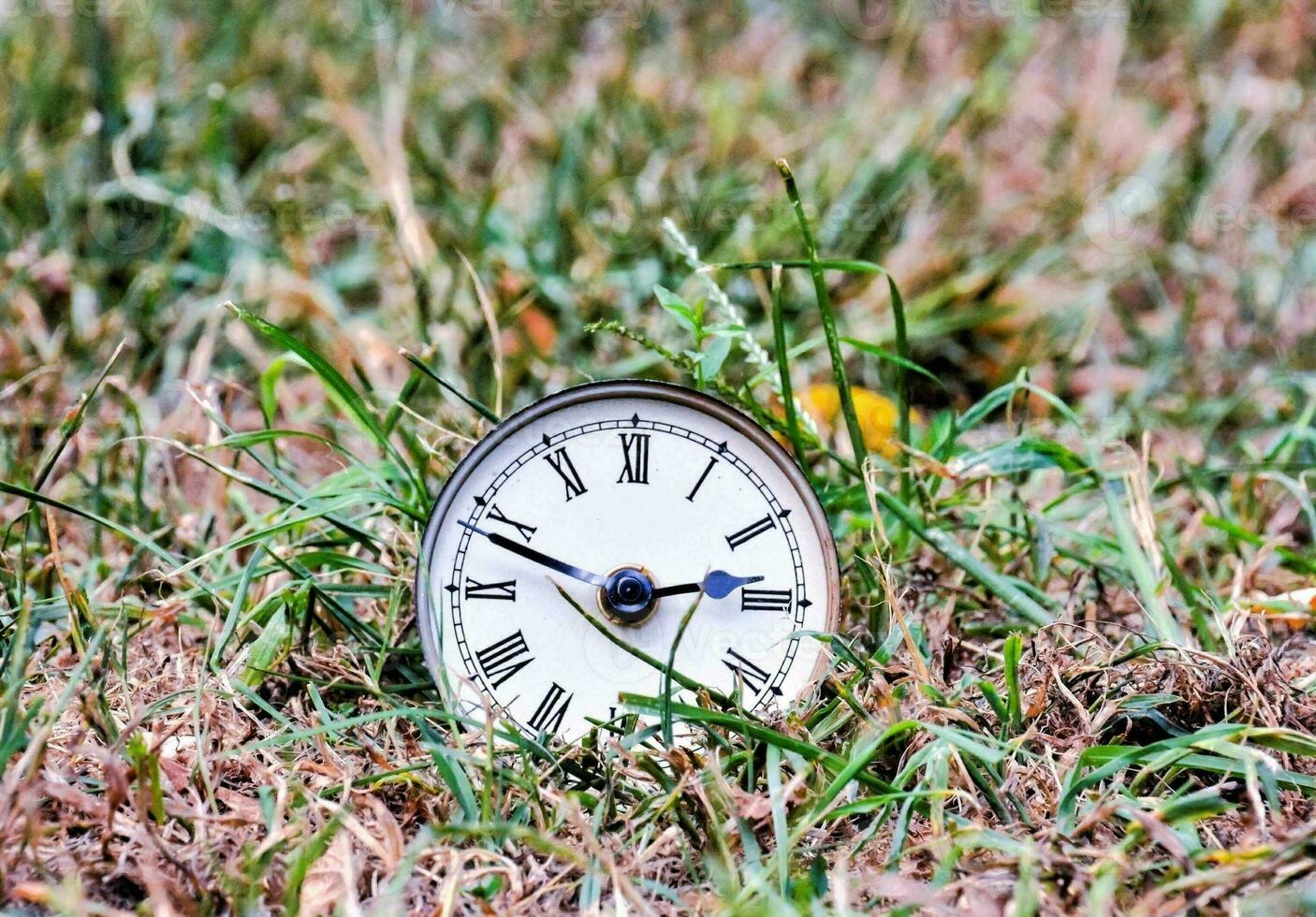 an old clock in the grass photo