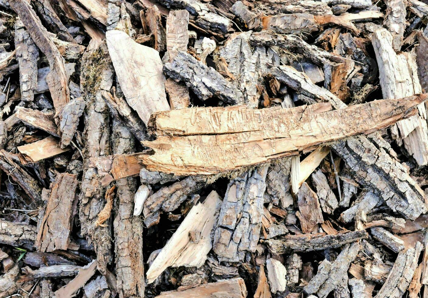 a pile of wood chips with some leaves photo