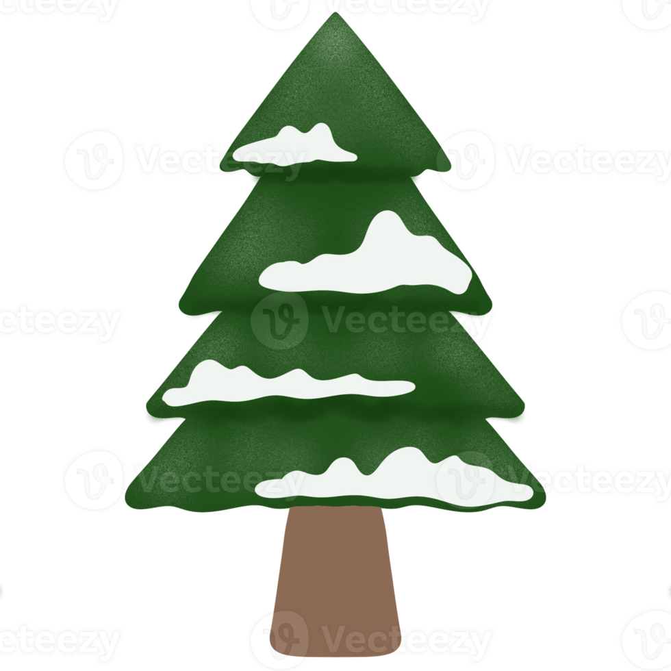 Pine tree with snow png