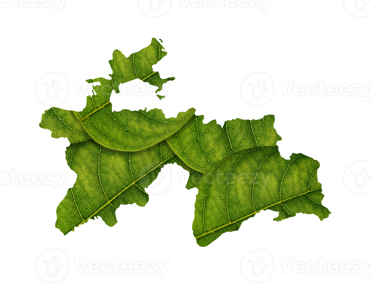 Tadschikistan Karte gemacht von Grün Blätter Ökologie Konzept png