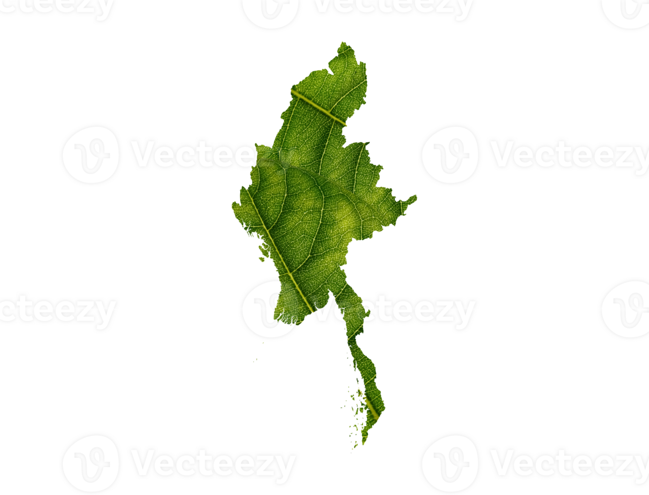 myanmar mapa hecho de verde hojas ecología concepto png