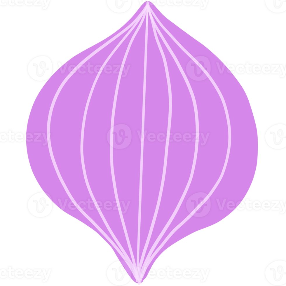 The Red onion png