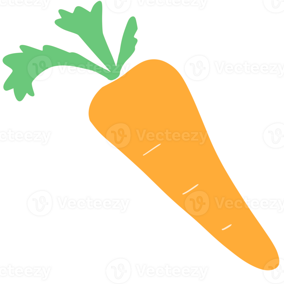 The carrot vegetable png