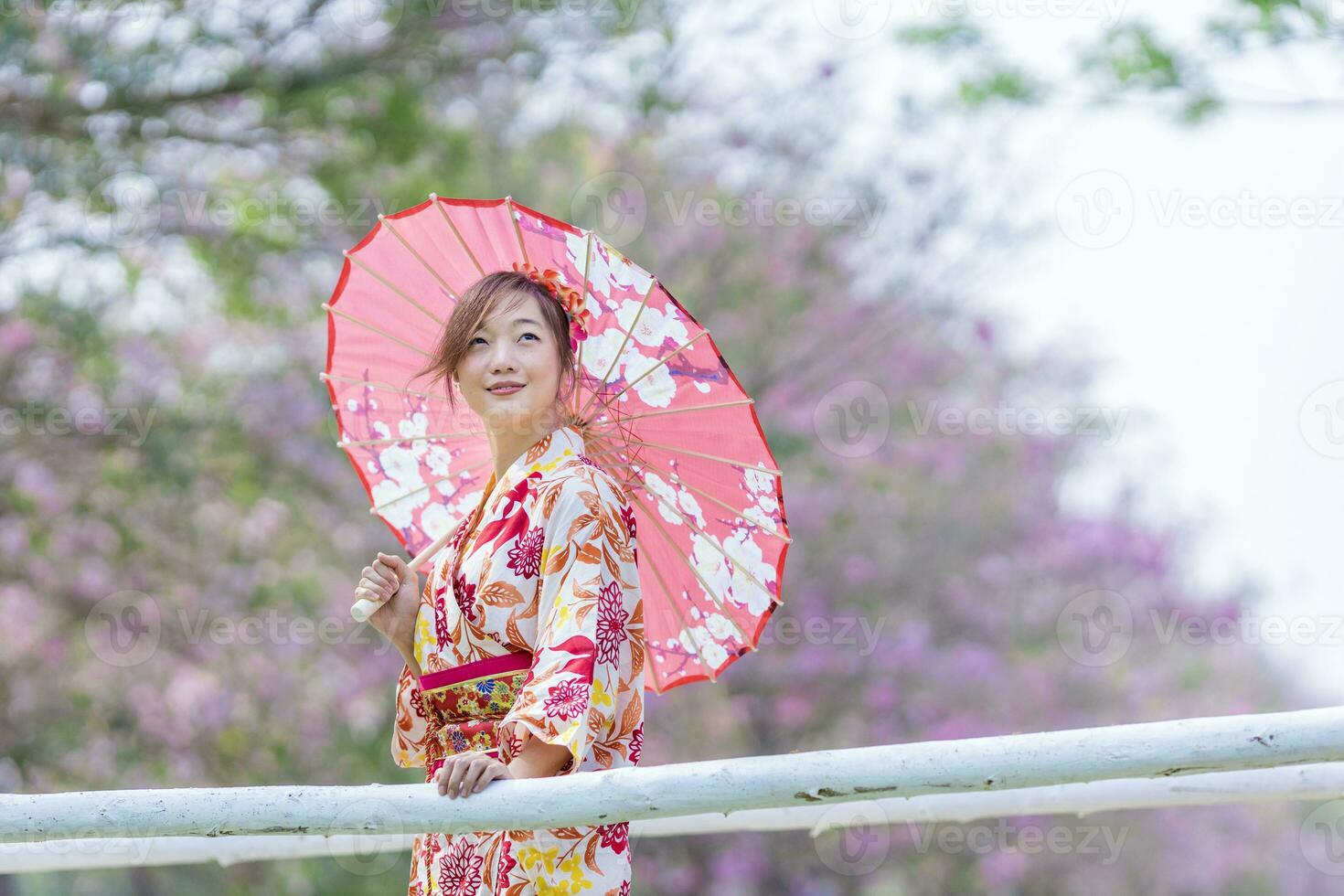 japonés mujer en tradicional kimono vestir participación paraguas en el puente mientras caminando en el parque a Cereza florecer árbol durante el primavera sakura festival foto