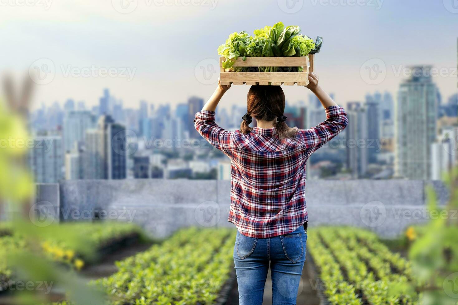 Back of woman gardener is harvesting organics vegetable while working at rooftop urban farming for city sustainable gardening on limited space to reduce carbon footprint pollution and food security photo