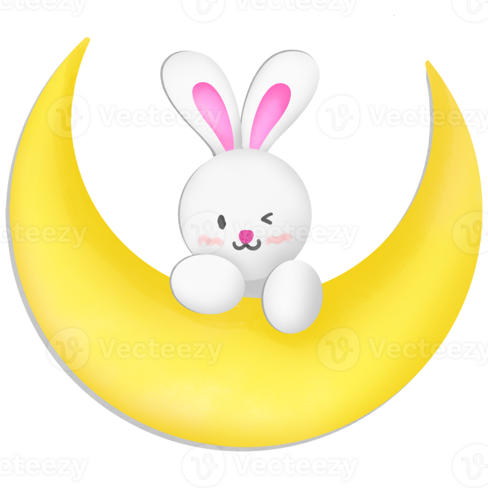 Rabbit on the moon png