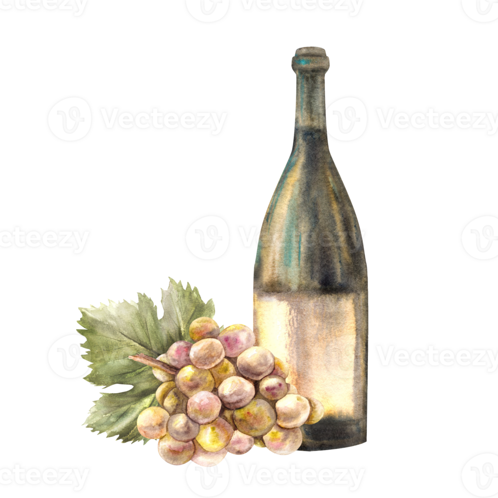 A bottle of white wine with bunch of grapes and grapevine Watercolour hand draw food illustration. Wine making set for design of flyers, drink menu, wine list, label, sticker print png