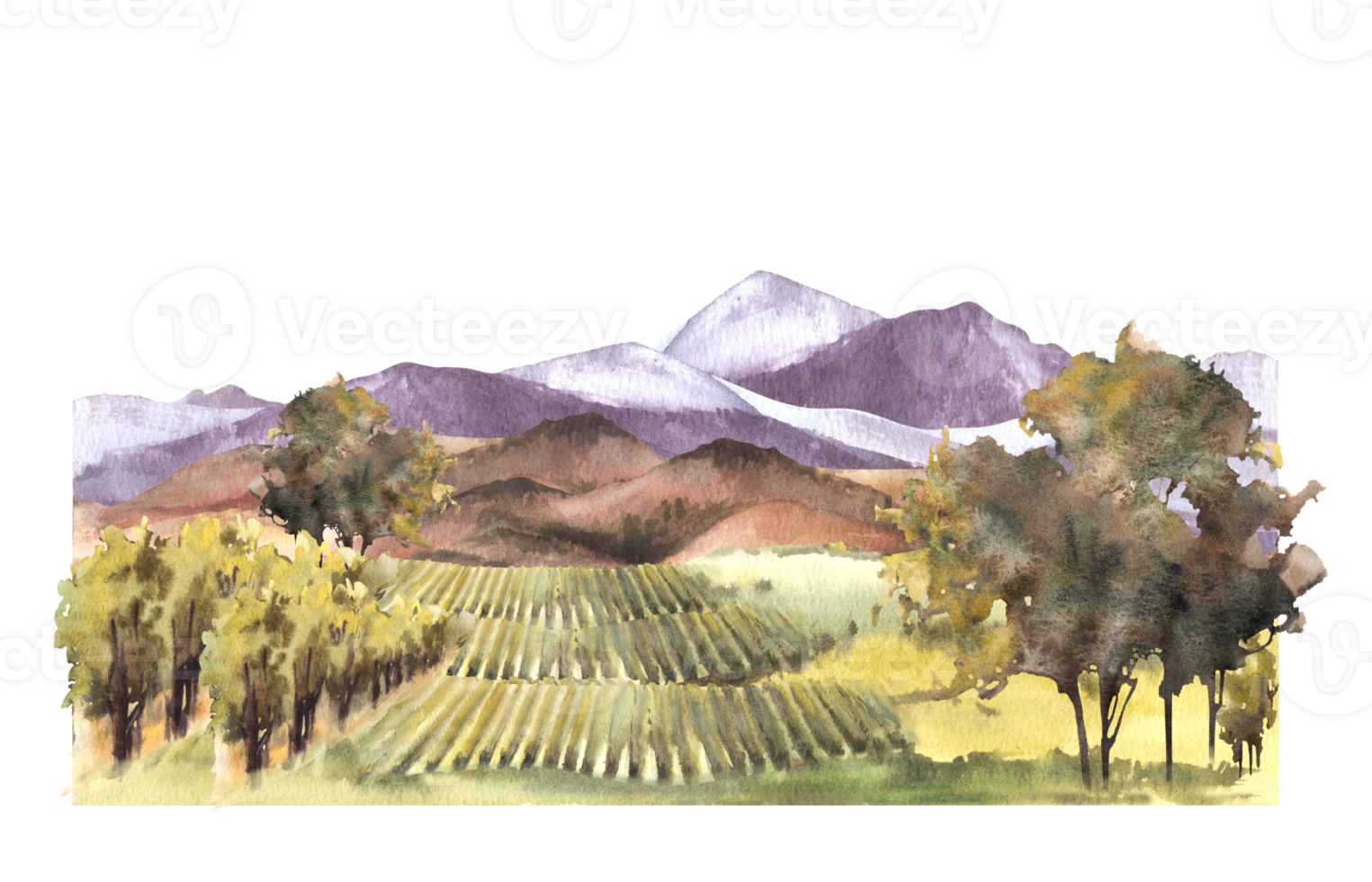 Watercolor landscape with grape fields, vineyards, bushes, trees, grape plant. hills and mountains. Rural landscape, winemaking farm. Hand draw watercolor illustration png