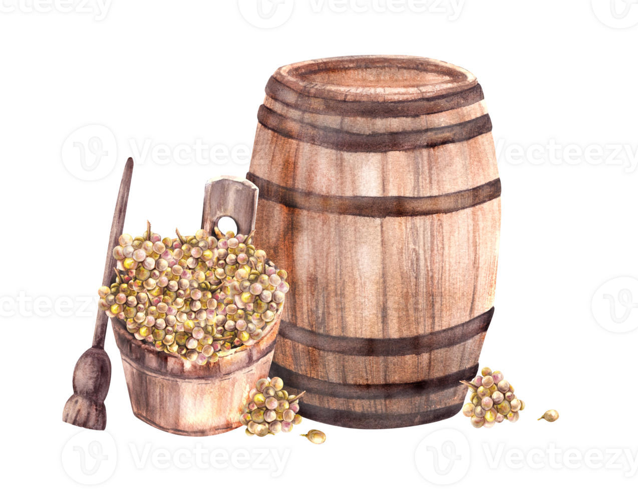 vin tunna och vinframställning skörda, trä- korg, kross, klasar av vindruvor, vinranka vattenfärg hand dra illustration för din märka vinframställning skriva ut, meny, vin lista png