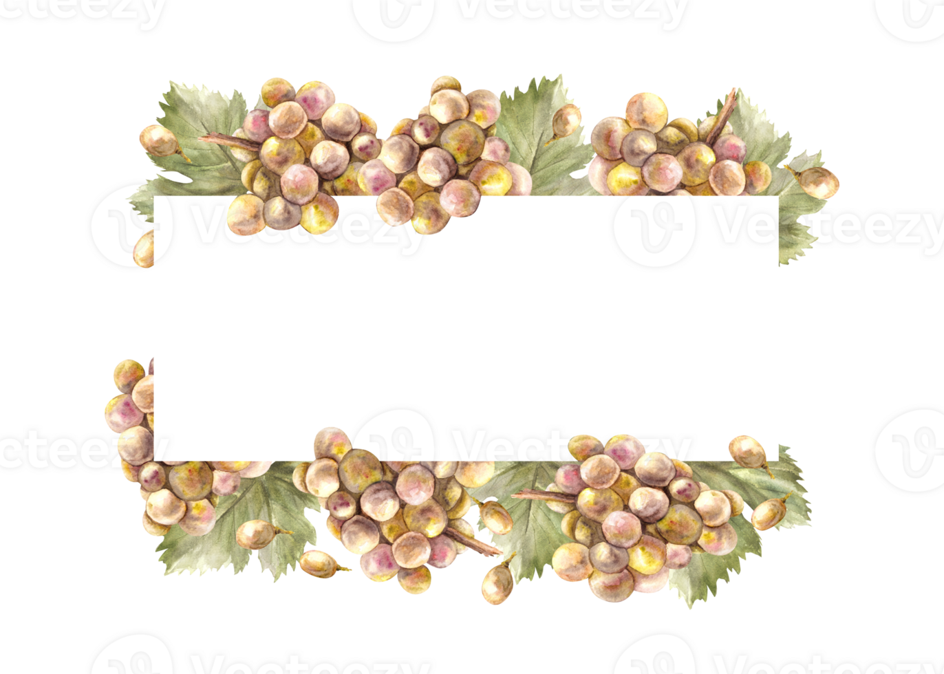 Watercolor rectangular frame, bunch of green grapes leaves and grape berry Grapevine label hand painted illustration for card, wine list, invitation, restaurant, bar print png