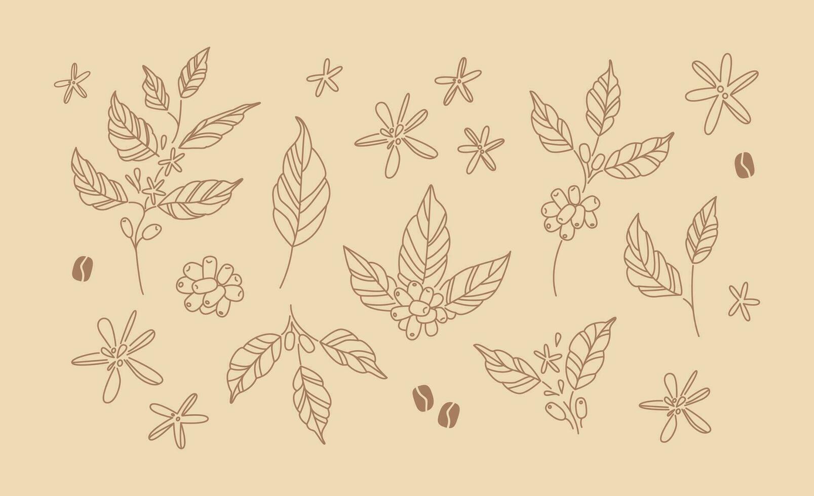 Coffee branches and flowers. Hand drawn line art drawings of coffee leaves and stems. Plant. Nature. Sticker, icon, logo, emblem vector