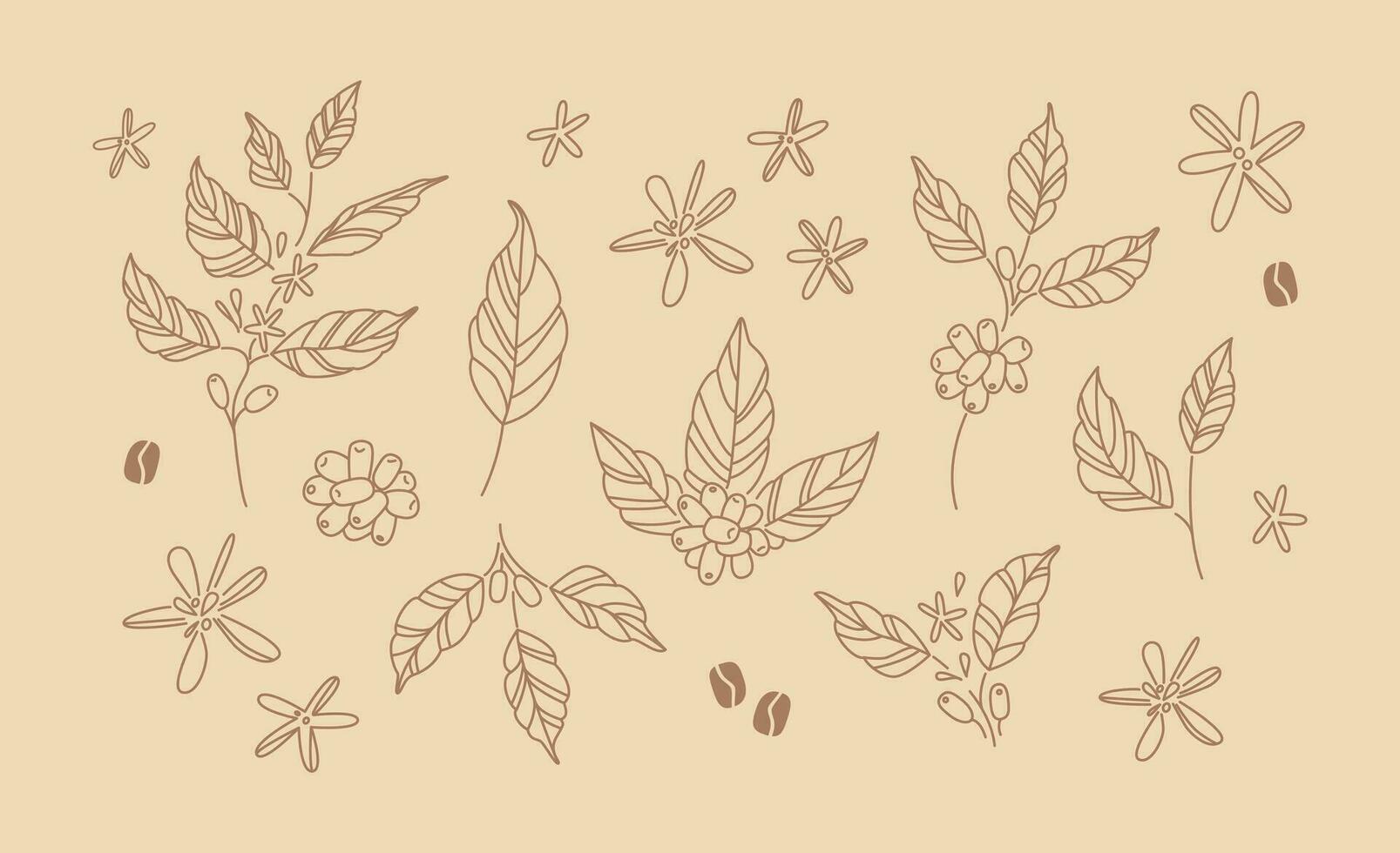 café ramas y flores mano dibujado línea Arte dibujos de café hojas y tallos. planta. naturaleza. pegatina, icono, logo, emblema vector