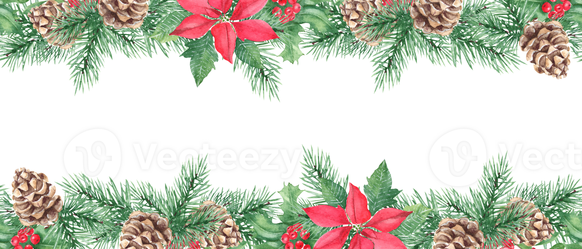 Horizontal watercolor Christmas border, frame. Hand drawn illustration. Pine cone and branches, Holly plant with red berries. Poinsettia with Cowberry, lingonberry. png