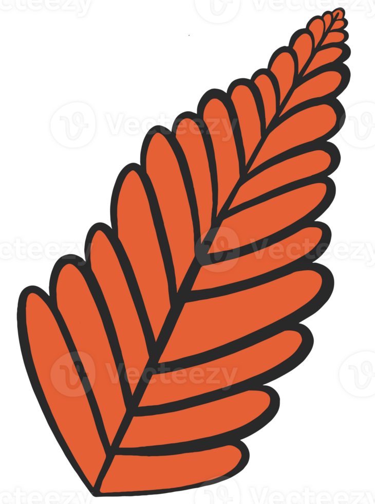 Hand drawn autumn brown  leaf isolated  on png for Thanksgiving  elements