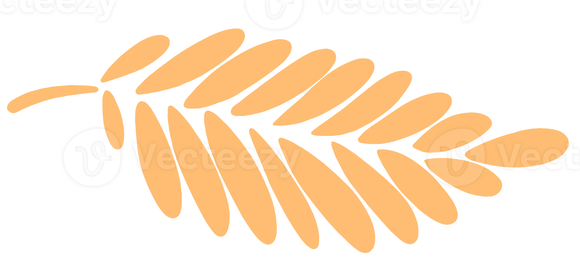 Hand drawn autumn brown  leaf isolated  on png for Thanksgiving  elements