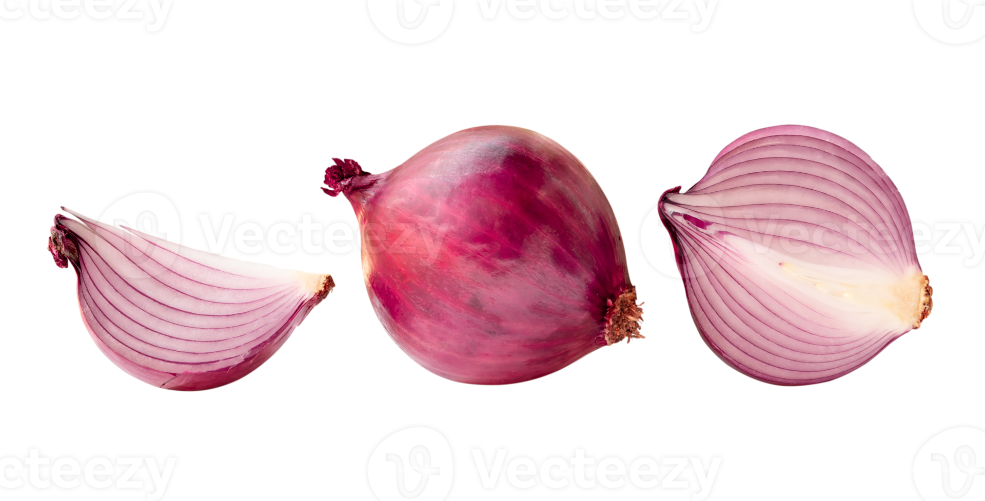 Set of fresh red onion bulb with half and slice isolated with clipping path in png file format