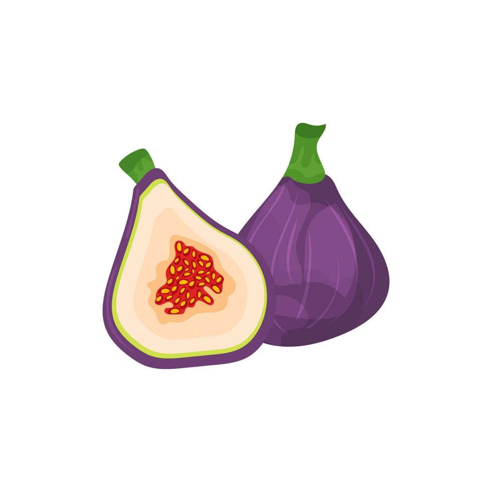 Purple figs in vector cartoon style, isolated on white background.