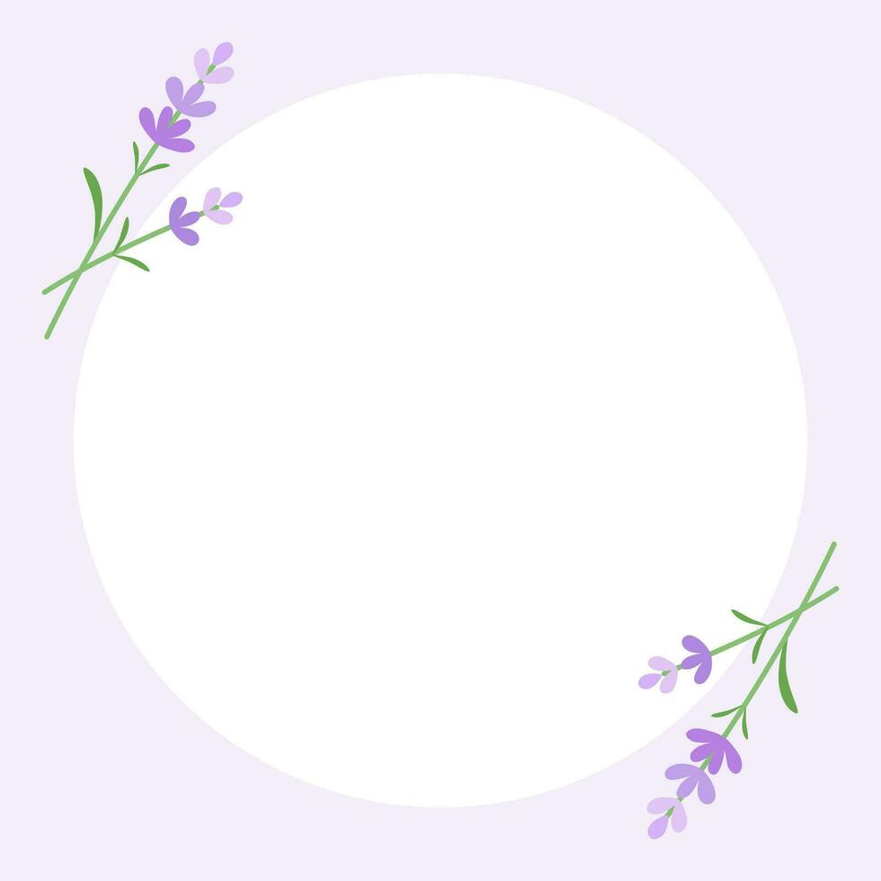lavender square background vector