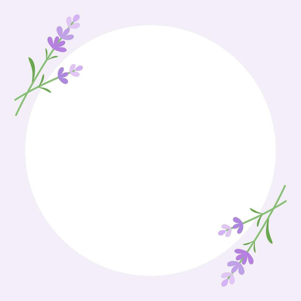 lavender square background vector