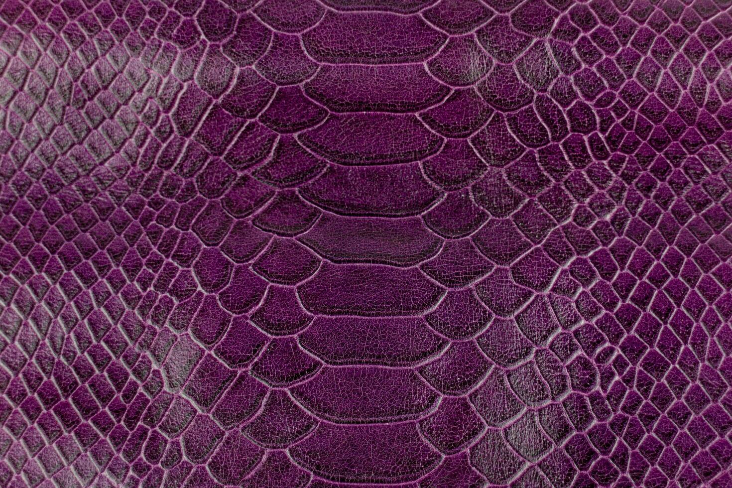 Purple snake skin texture. Abstract background and texture for design. photo