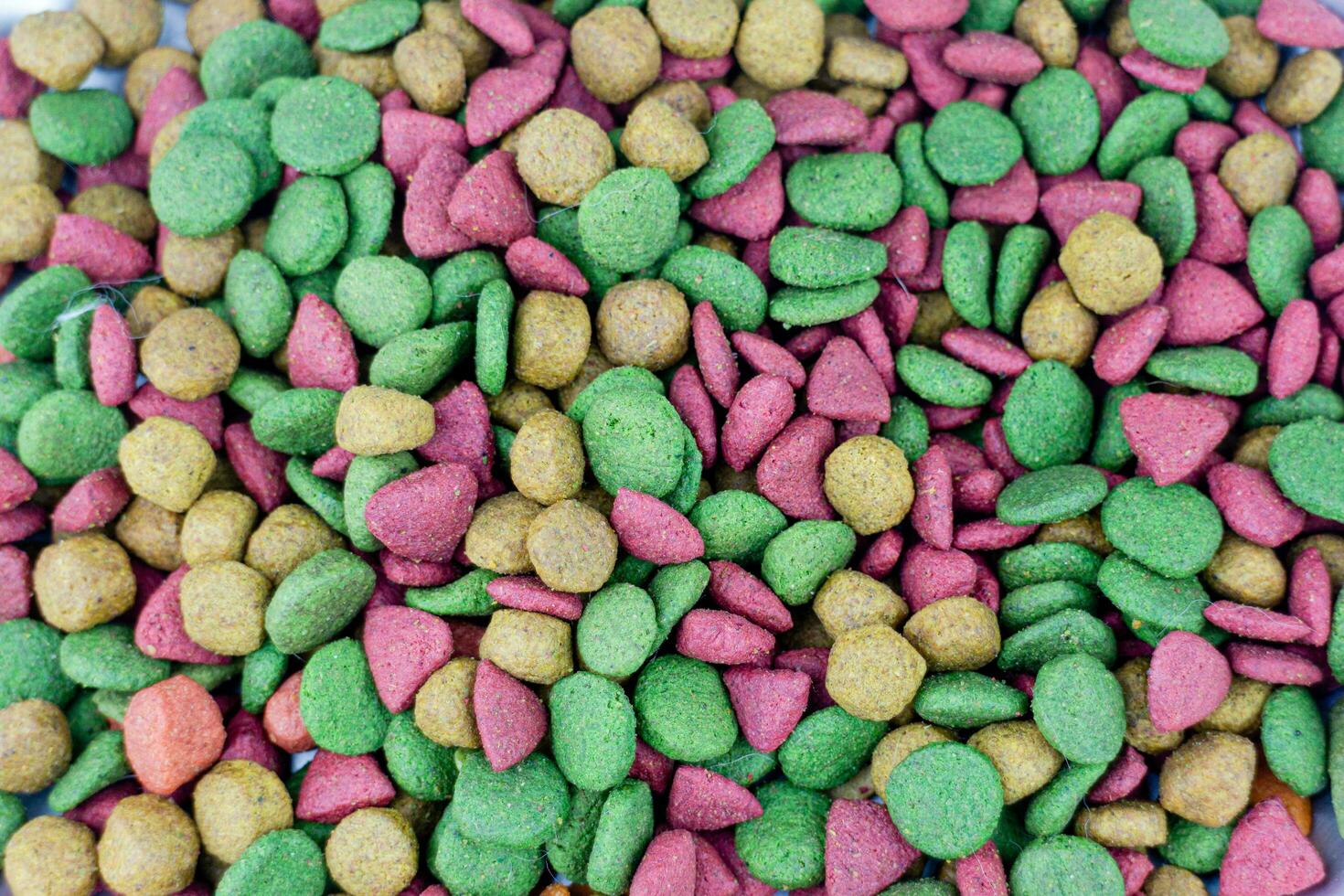 dry-pet-food-in-bowl-close-up-pet-food-background-34382458-stock-photo