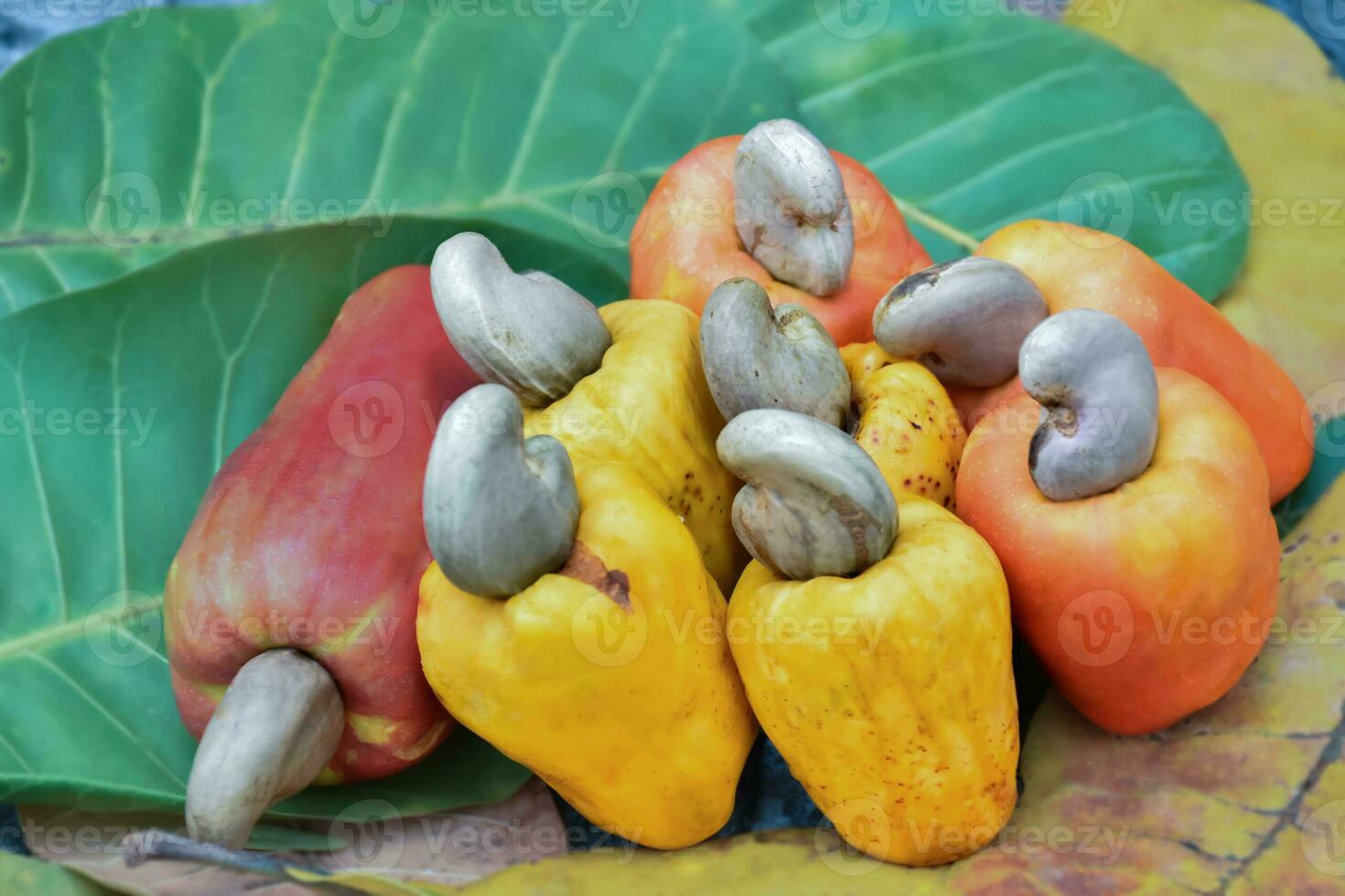 Ripe and raw cashew apple fruits, soft and selective focus. photo