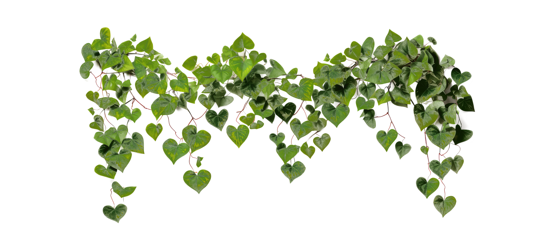 Hanging vines, creepers, leaves, forest, shrubs . AI Generated png