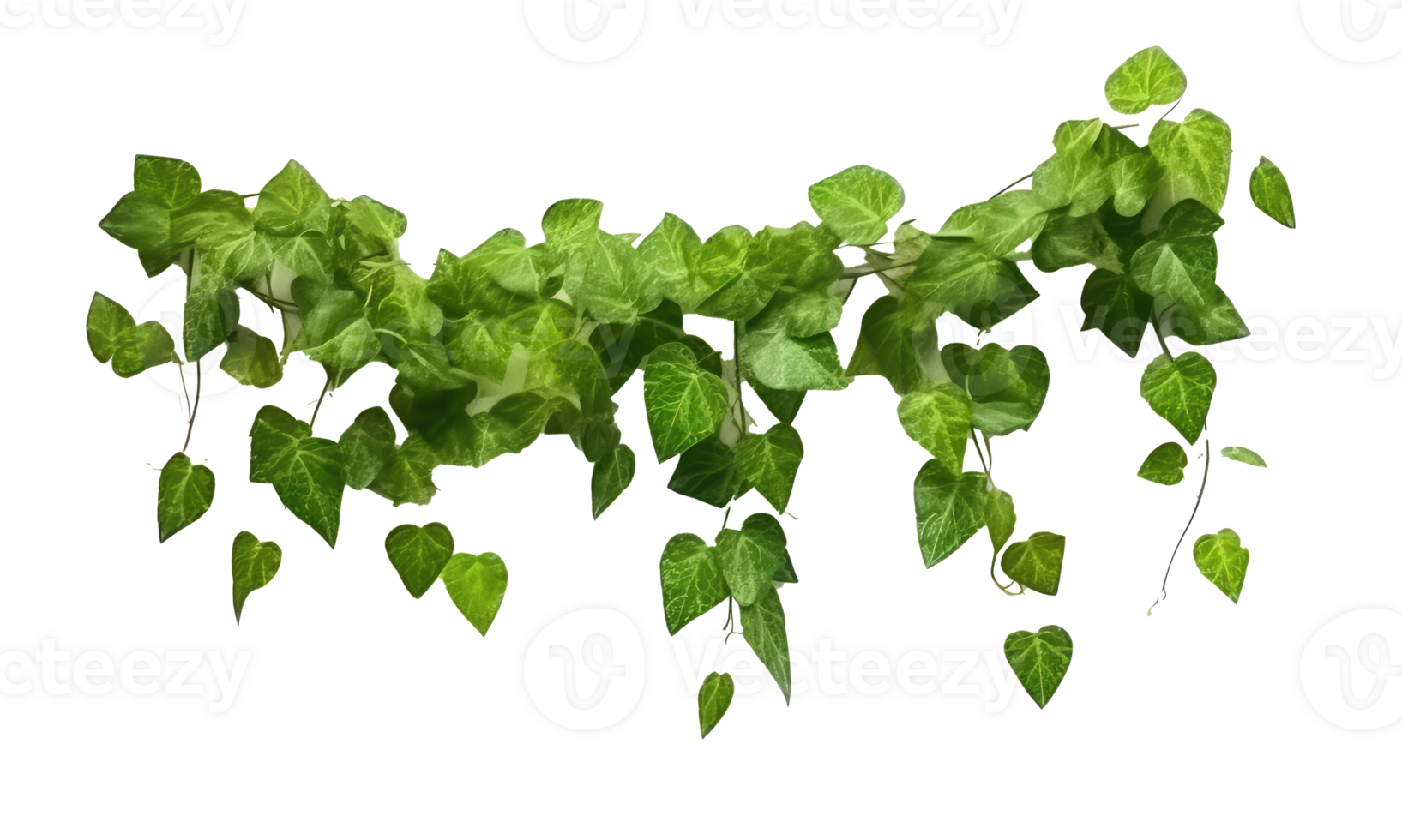 Hanging vines, creepers, leaves, forest, shrubs . AI Generated png