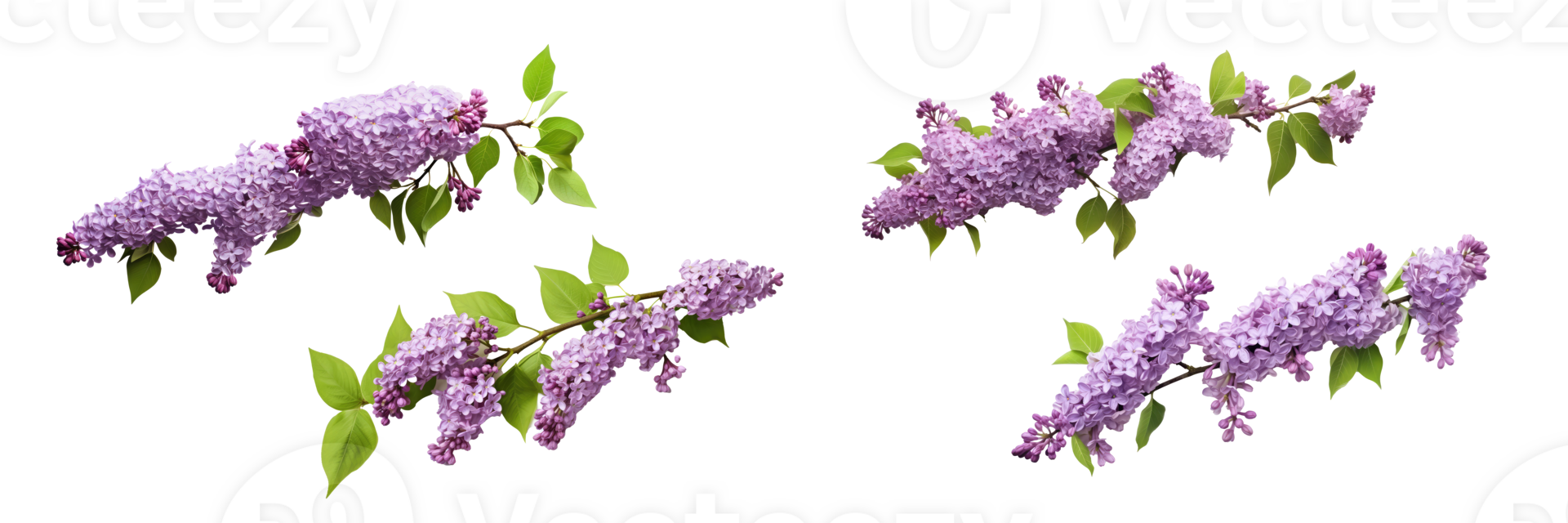 lilac branch . AI Generated png