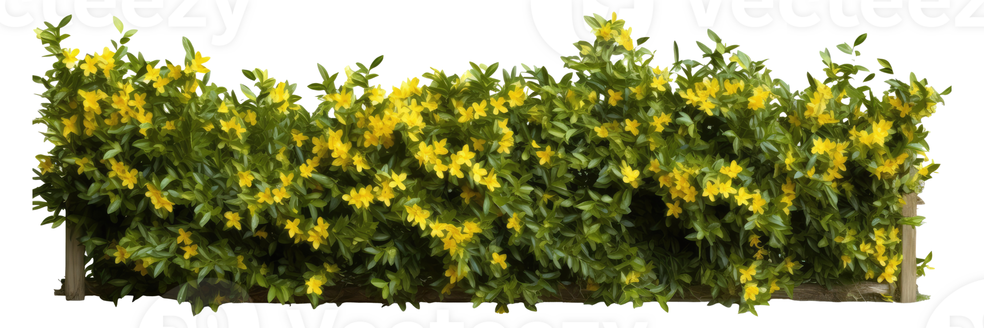 Tropical Flower shrub bush fence tree isolated plant with clipping path . AI Generated png