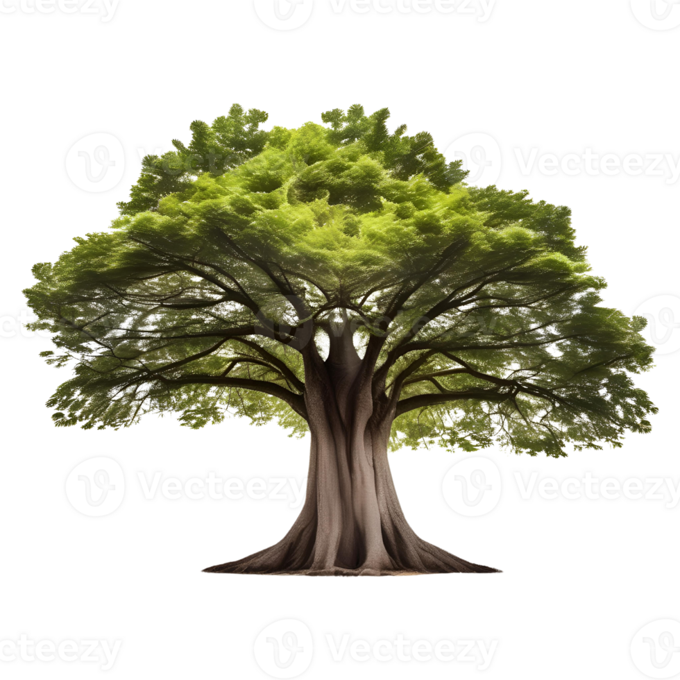 Big Tree isolated on Transparent Background. AI Generative png