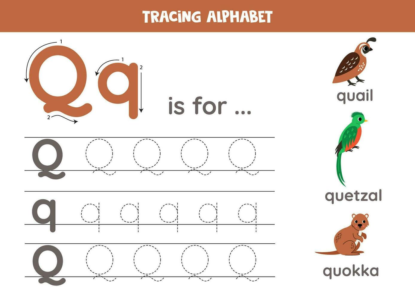 Tracing all letters of English alphabet. Preschool activity for kids. Writing uppercase and lowercase letter q. Printable worksheet.  Cute illustration of quail, quokka, quetzal. vector