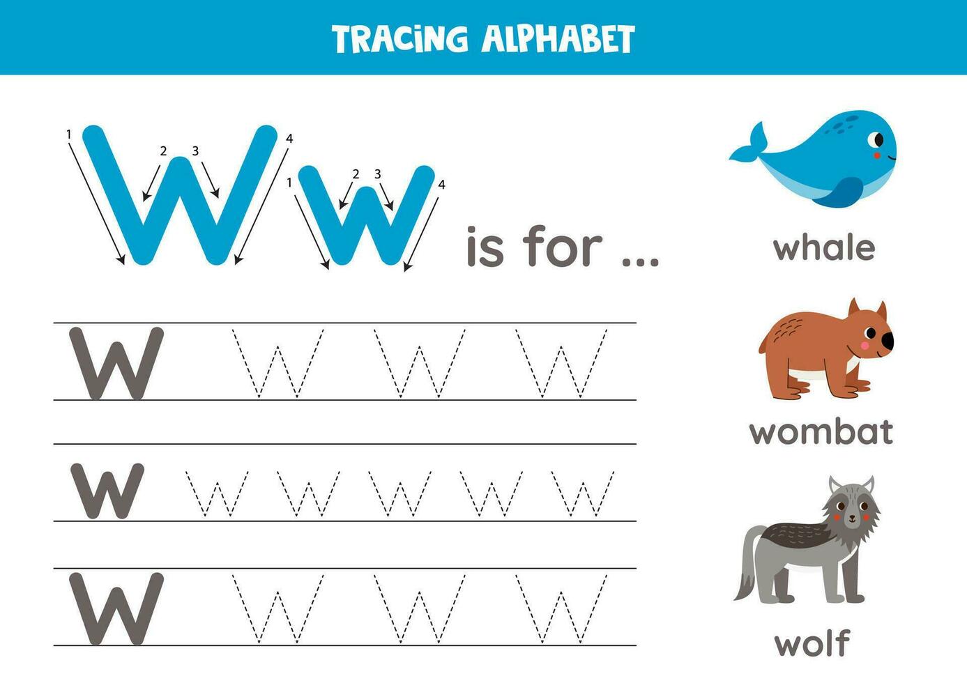 Tracing all letters of English alphabet. Preschool activity for kids. Writing uppercase and lowercase letter w. Printable worksheet. Cute illustration of whale, wombat, wolf. vector