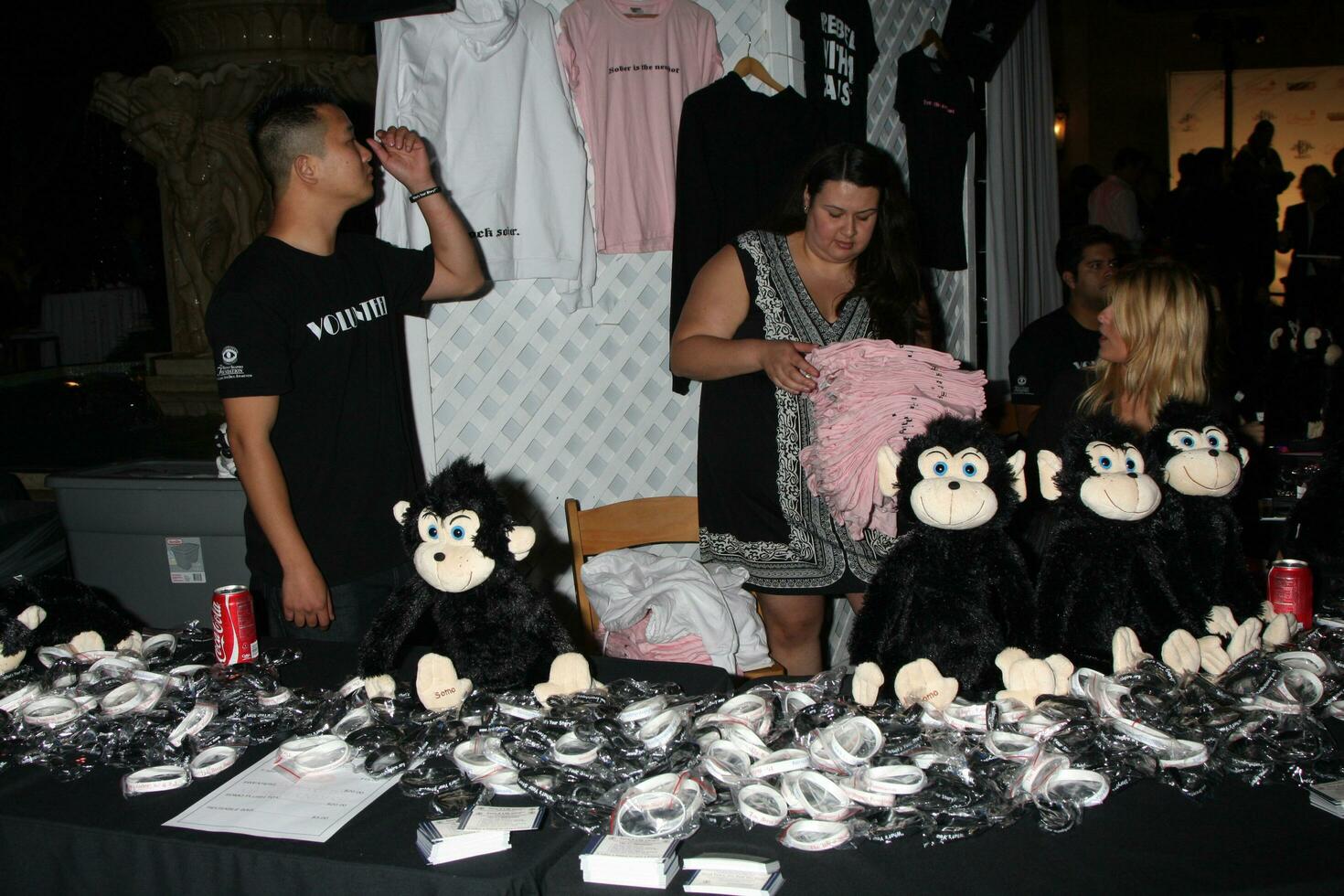 LOS ANGELES  SEP 11   attends The Brent Shapiro Foundation For Alcohol and Drug Awareness Summer Spectacular 2010 Event at Private Estate on September 11 2010 in Beverly Hills CA photo