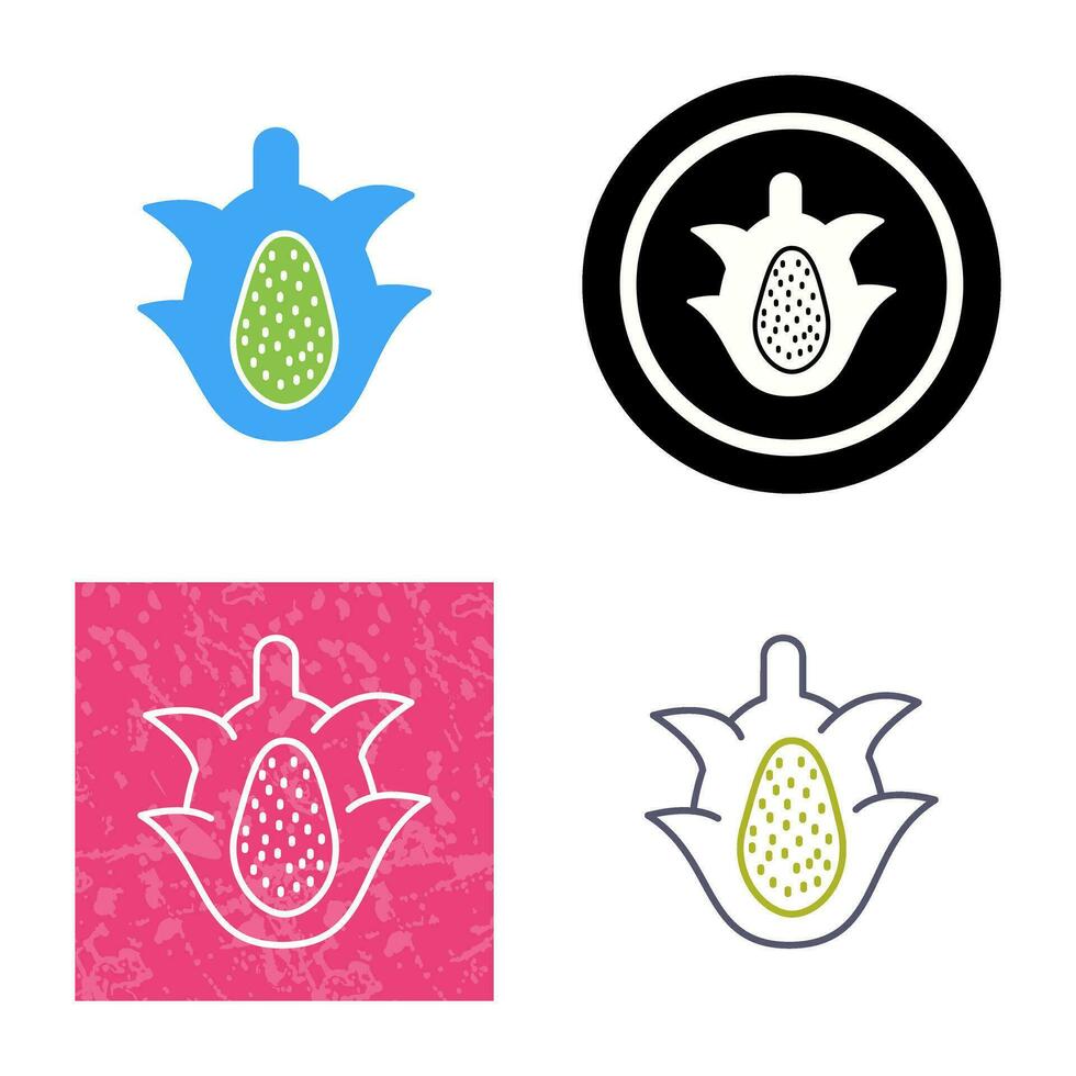 icono de vector de fruta de dragón