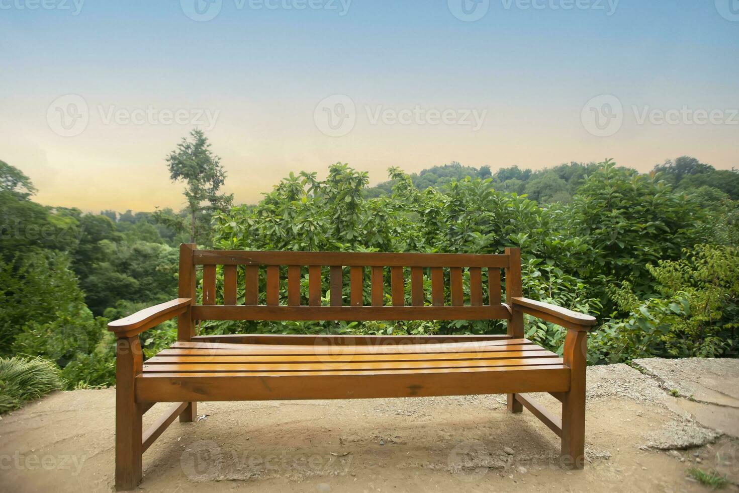 Wooden empty bench against the background of the sky and greenery. photo