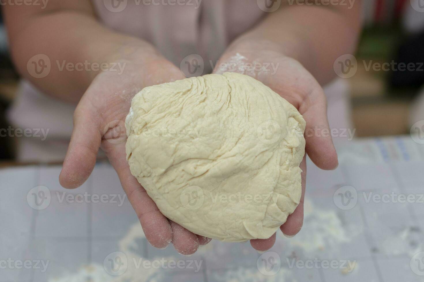 Woman Hands Hold the Dough Before Putting the Dough into the Oven photo