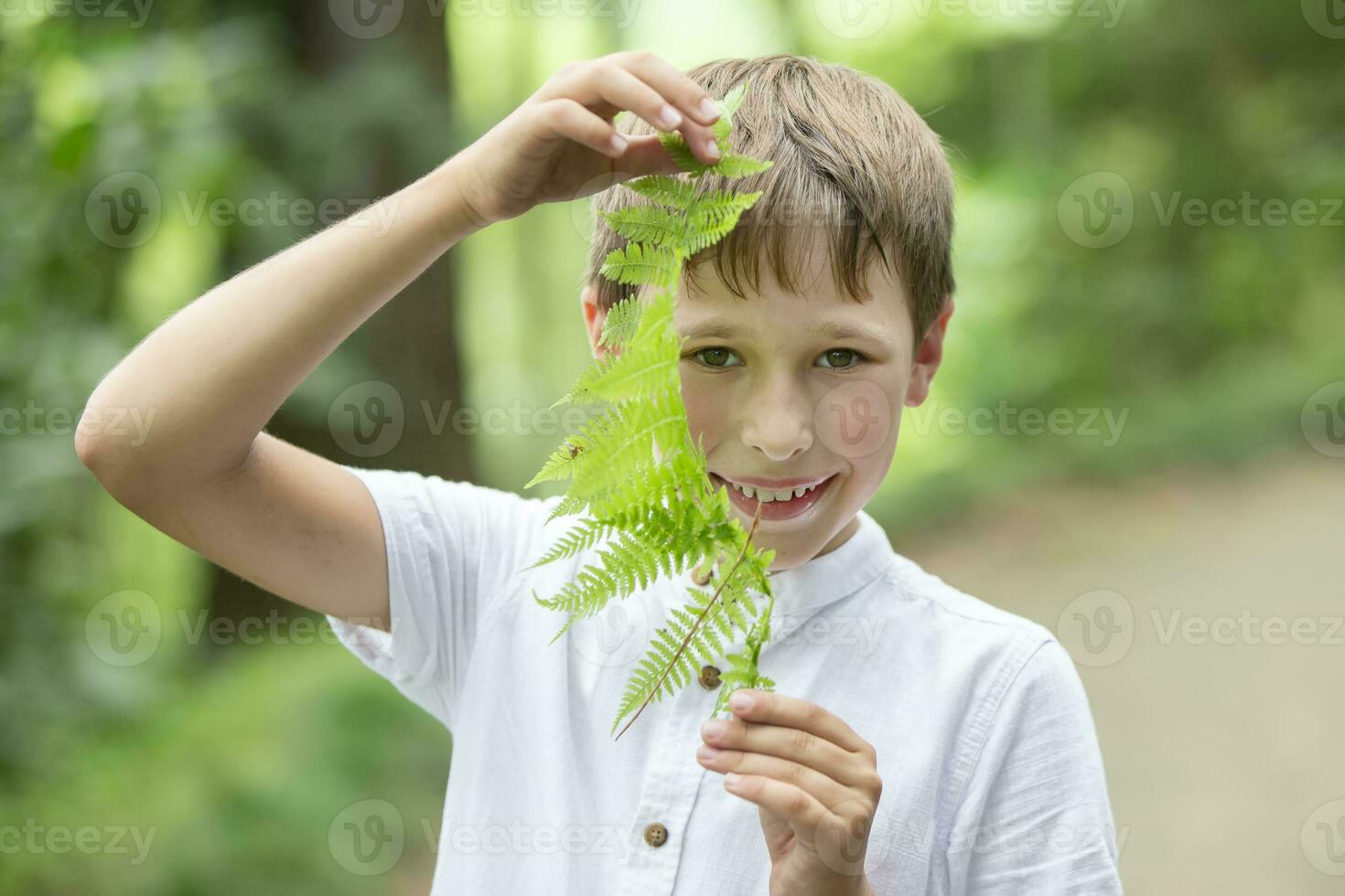 A handsome young boy shows a fern leaf. Child with a plant. photo