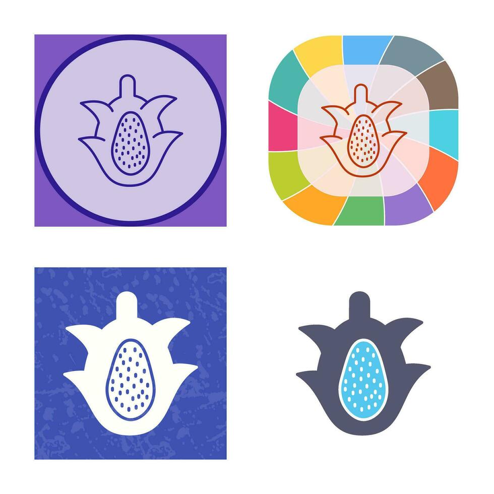 Dragon Fruit Vector Icon