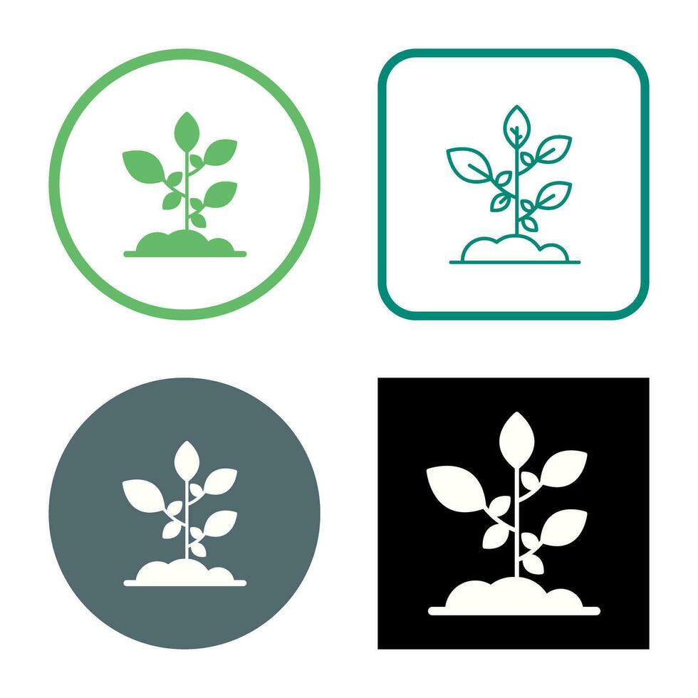 Sprout Vector Icon