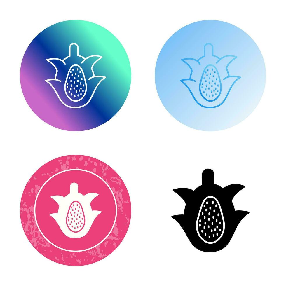 Dragon Fruit Vector Icon