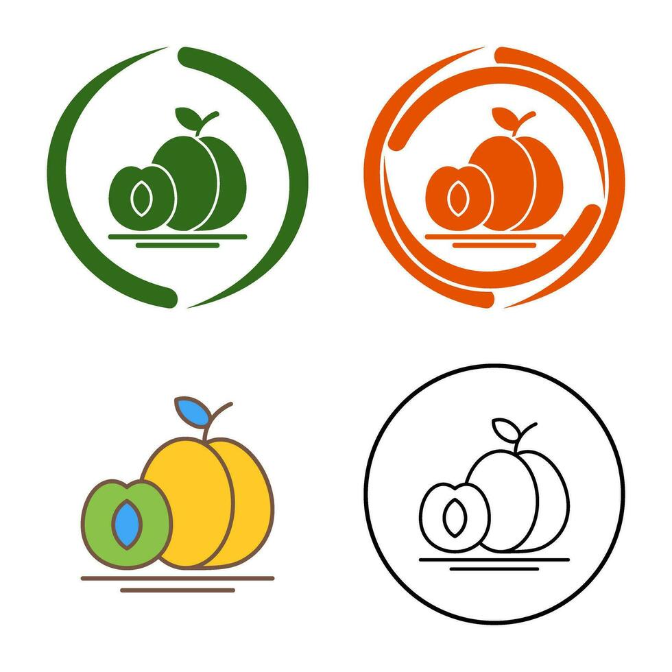 Apricot Vector Icon