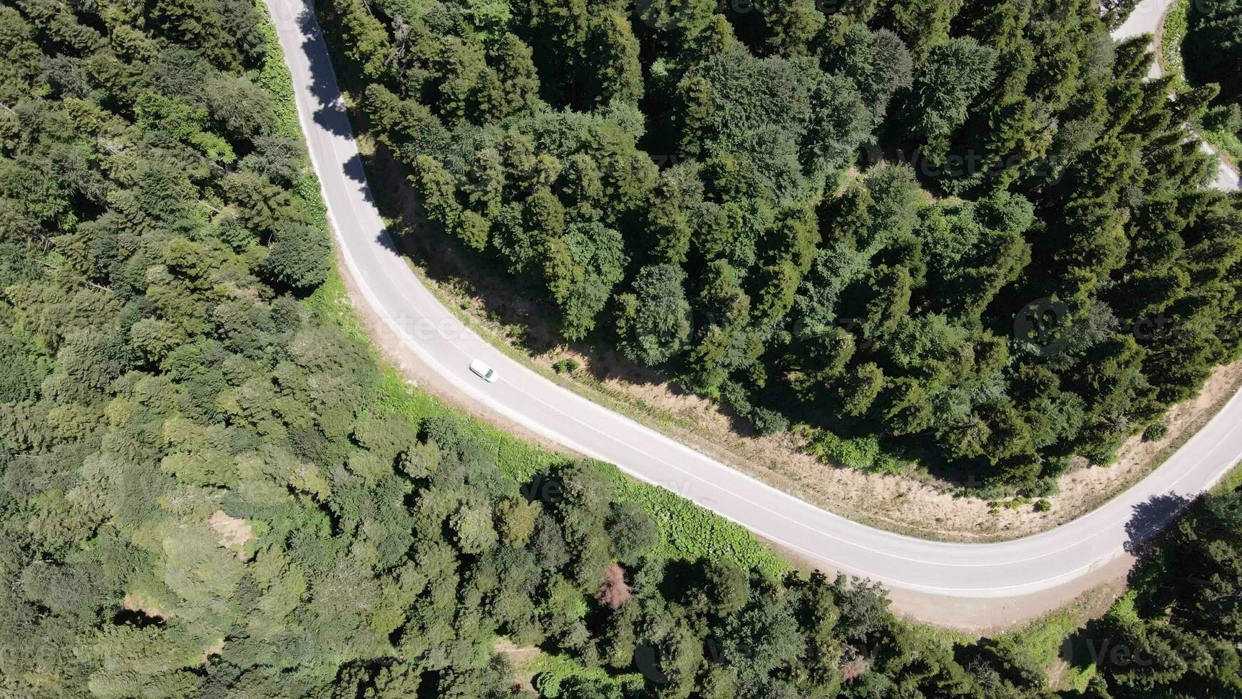 Car going slowly road between nature photo