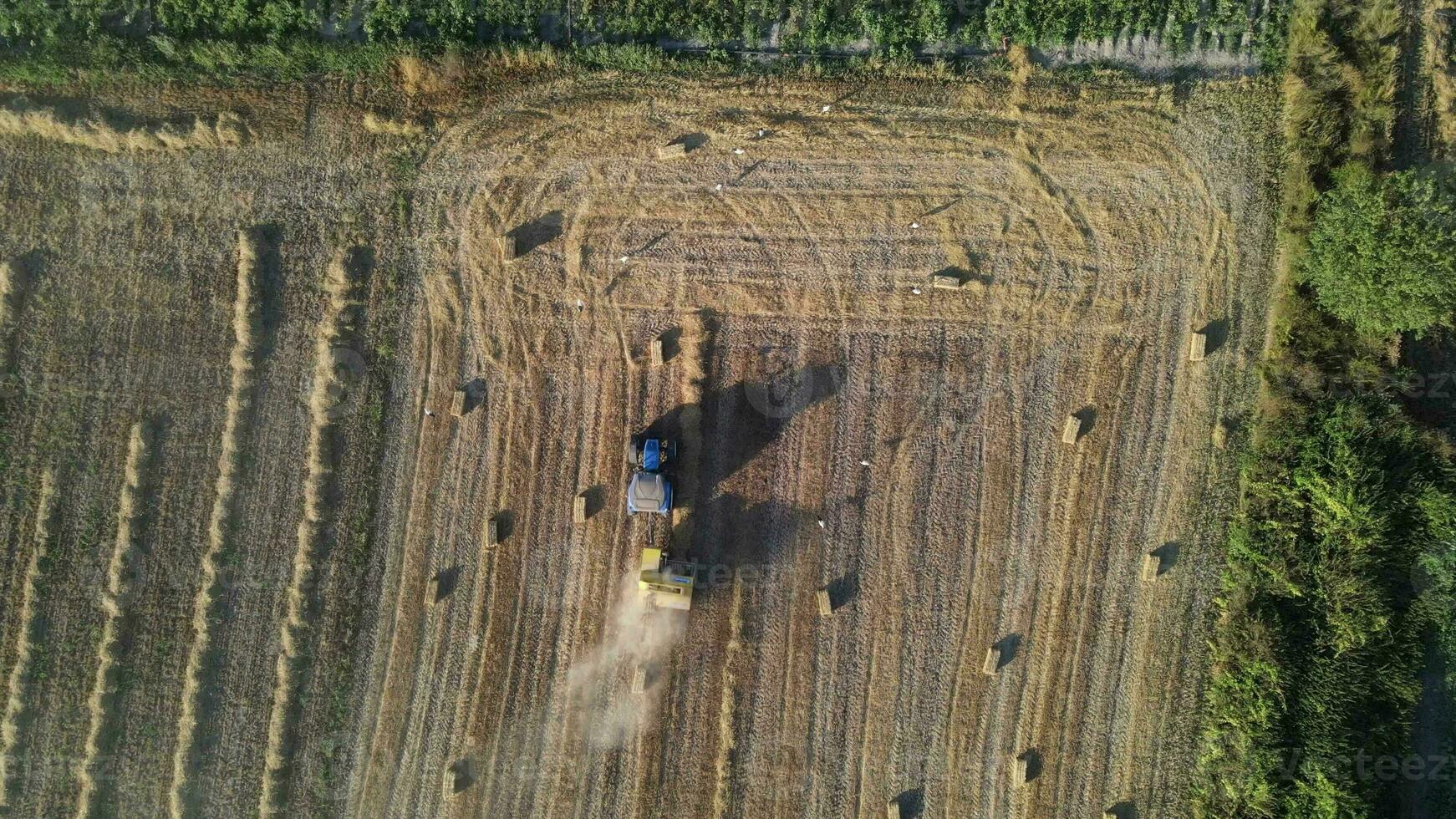 Harvest time in agriculture with equipment photo