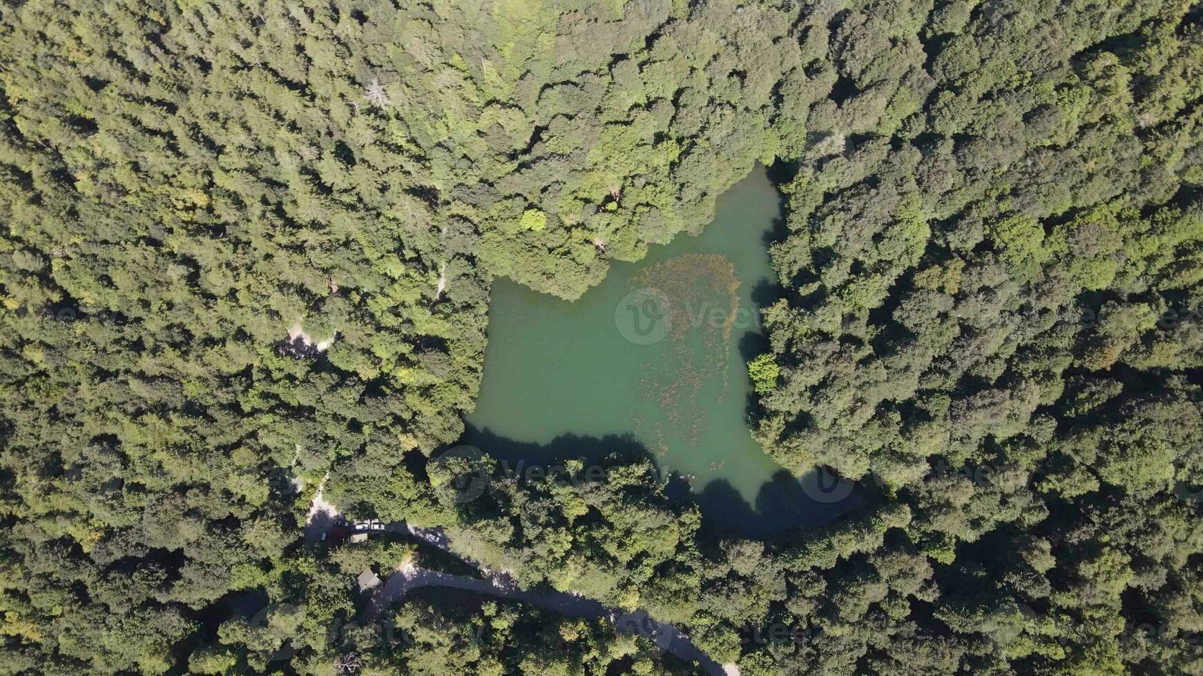 aéreo zumbido natural lago bosque foto