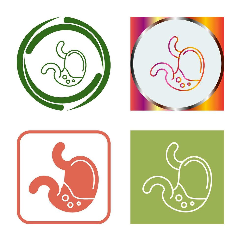 Stomach Vector Icon