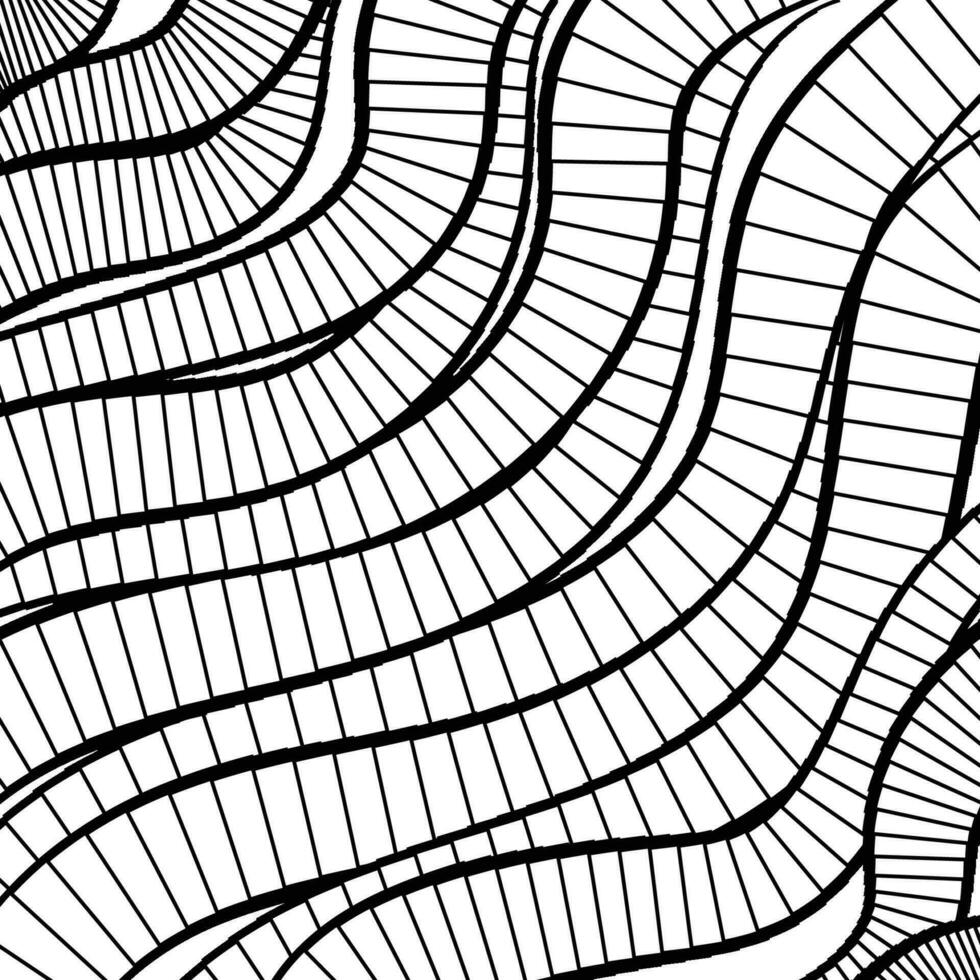 Vector abstract background of lines in black and white colors