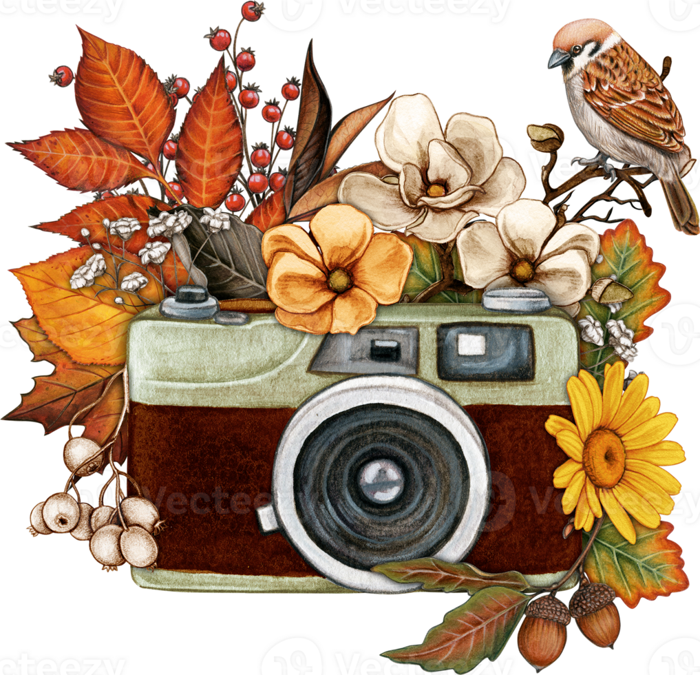 watercolor hand drawn vintage camera with floral decoration png