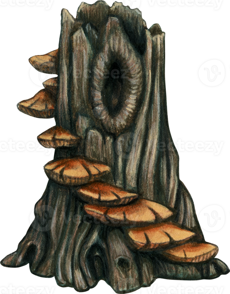 árvore toco com cogumelo escadas png