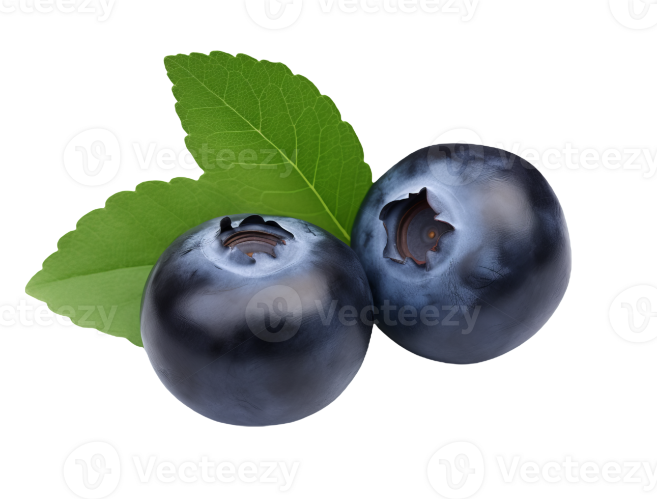 Blueberries with leaves isolated on transparent background png